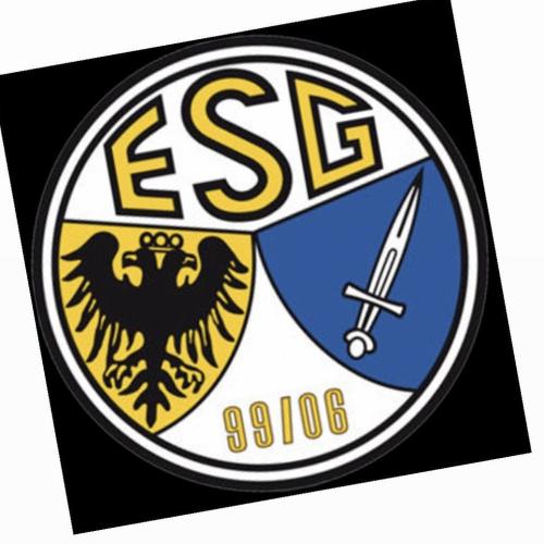ESG 99/06