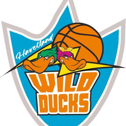 Wild Ducks Havelland