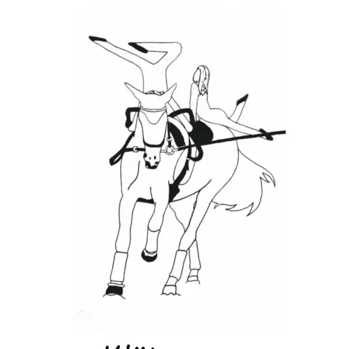 RFV Klötze e.V.  Abt. Voltigieren