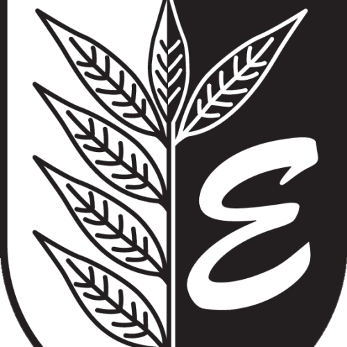 TuS Eschede Handballabteilung