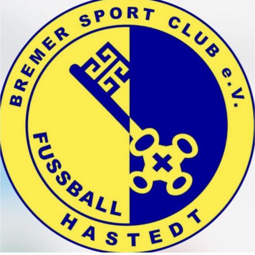 Bsc Hastedt
