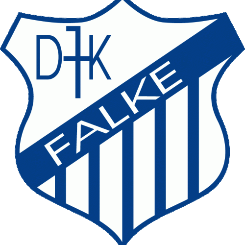DJK Falke Gelsenkirchen 1919 e.V.