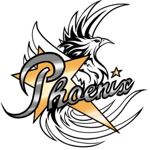 Phoenix Cheerleader des TSV Lesse e.V.