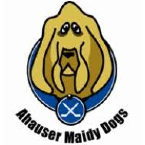 Ahauser Maidy Dogs