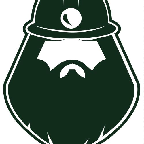 AFC Offenburg Miners e.V.