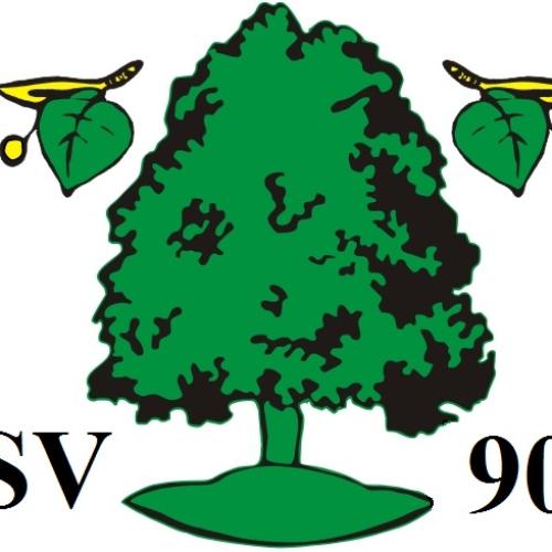 SV 90 Hohenebra e.V.