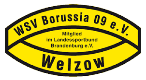 SV Borussia 09 Welzow