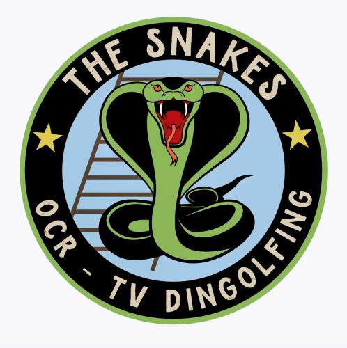TV Dingolfing 1868 e.V.