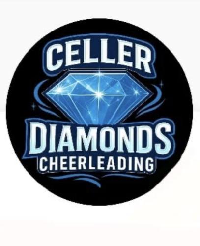 Celler Diamonds Cheerleader MTV Eintracht Celle