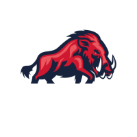 TSB 1847 Ravensburg e.V. Abteilung American Football