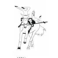 RFV Klötze e.V.  Abt. Voltigieren