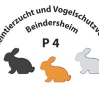 Kleintierzucht-Und Vogelschutzverein P4 Beindersheim e.V
