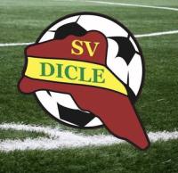 SV Dicle Celle