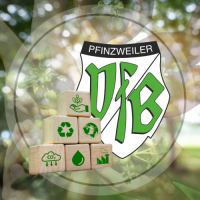 VfB Pfinzweiler