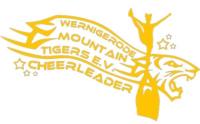 Mountain Tigers Cheerleader