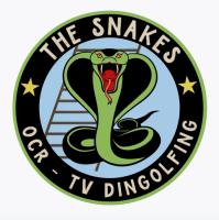TV Dingolfing 1868 e.V.